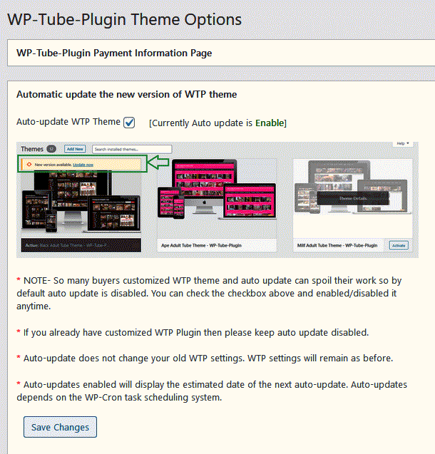 wp-tube-plugin auto update plugin and theme
