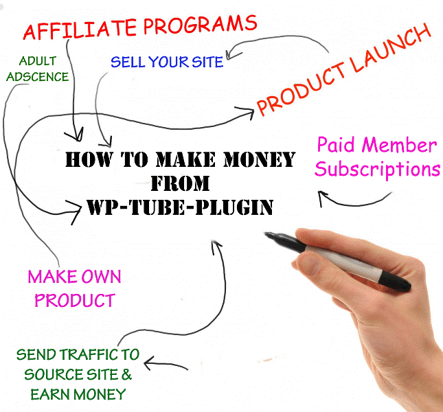 Make Money From WP-Tube-Plugin.com