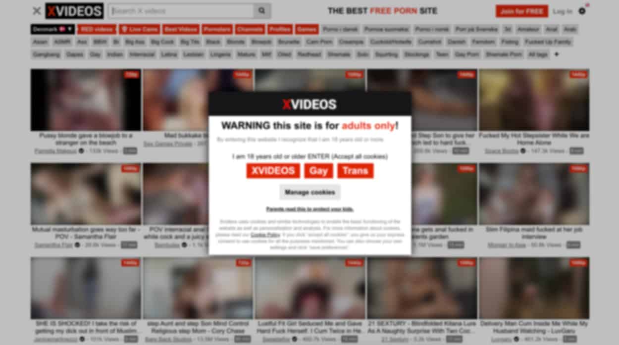 Build An Profitable Adult Website Like Xvideos In 10 Minutes.