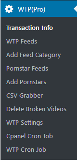 wp-tube-plugin left menu